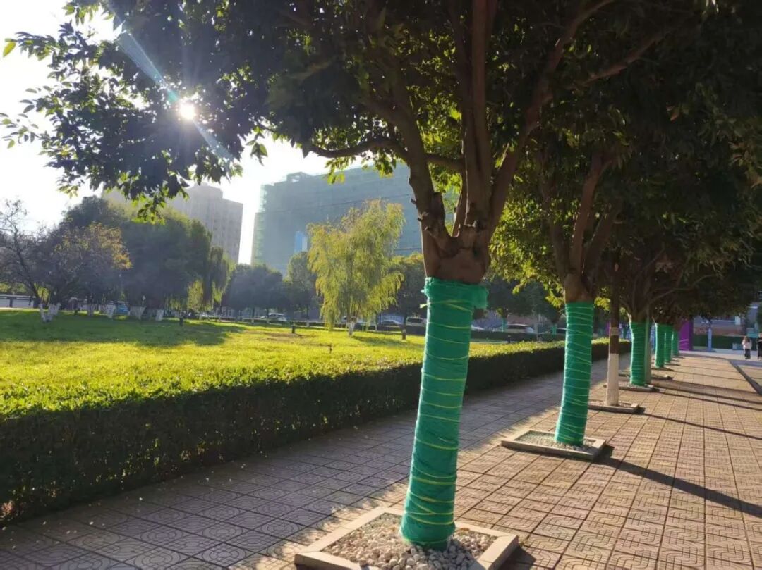 微信图片_20251204102723