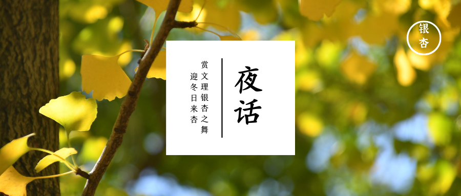 文理夜话丨冬日来“杏”，我无限地爱着新的一天