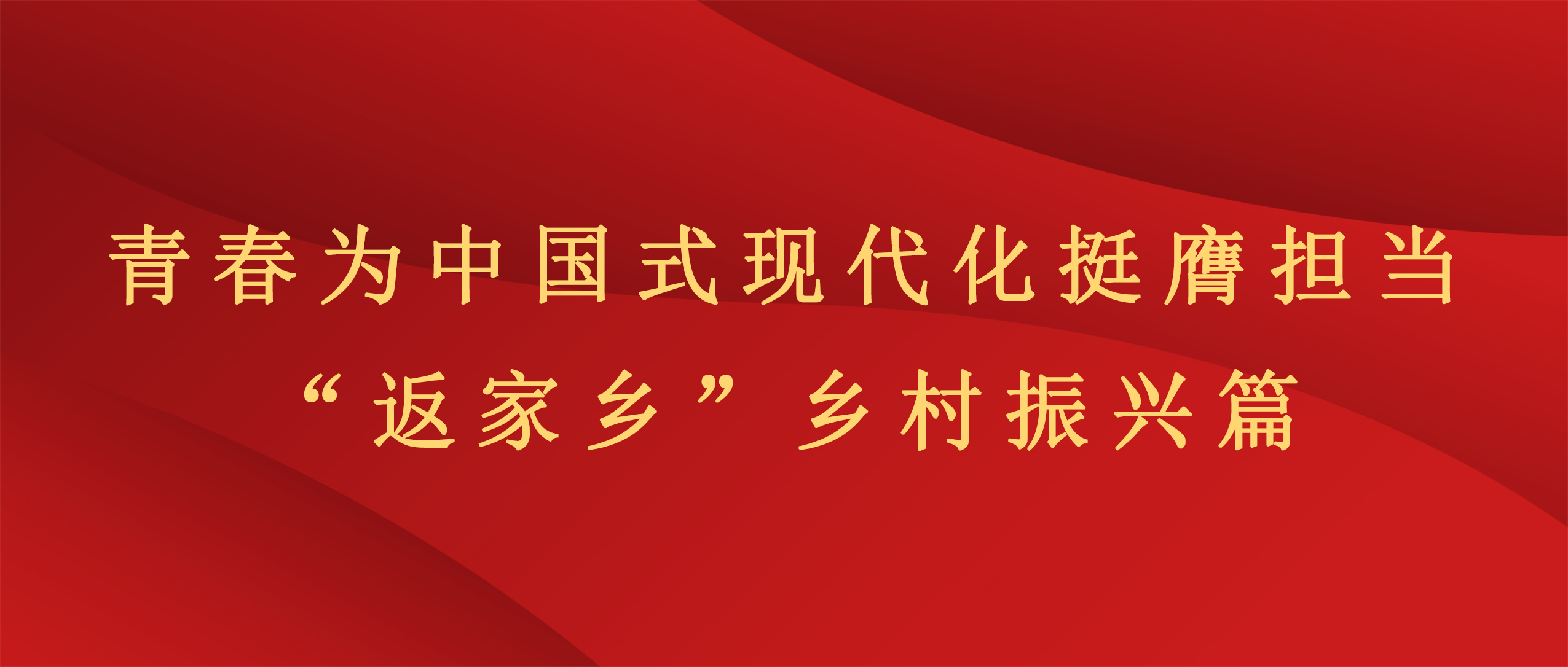 实践育人丨昆明文理学院2025年寒假“返家乡”社会实践活动风采展示（一）——乡村振兴篇