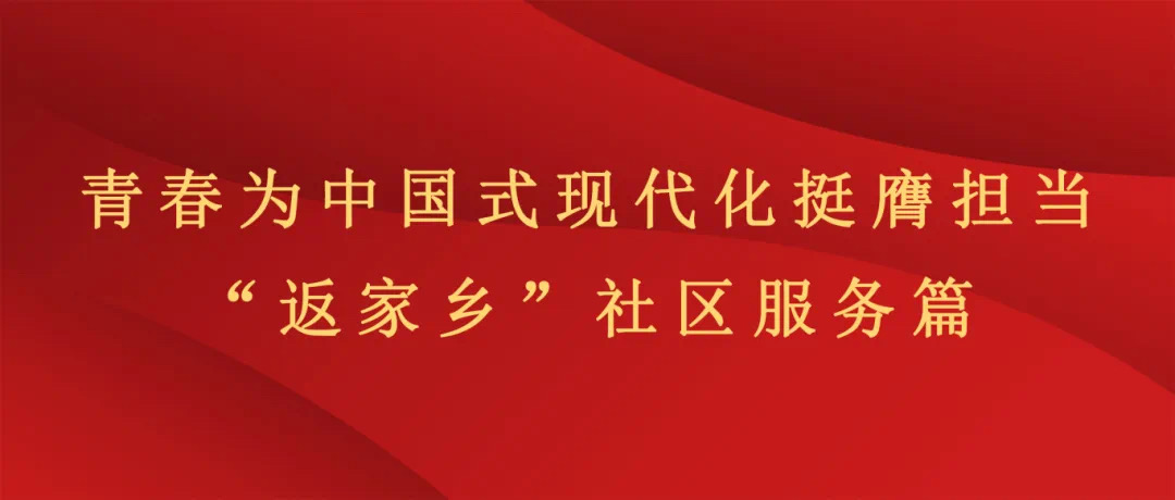 实践育人丨昆明文理学院2025年寒假“返家乡”社会实践活动风采展示（四）——社区服务篇