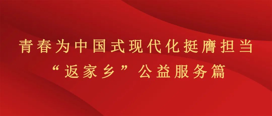实践育人丨昆明文理学院2025年寒假“返家乡”社会实践活动风采展示（三）——公益服务篇