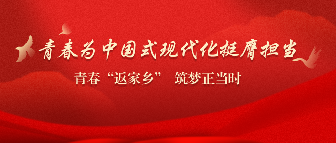 青春“返家乡” 筑梦正当时｜记文理学子在实践中收获的成长与蜕变（二）