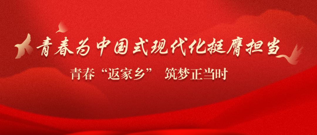 青春“返家乡” 筑梦正当时｜记文理学子在实践中收获的成长与蜕变（三）