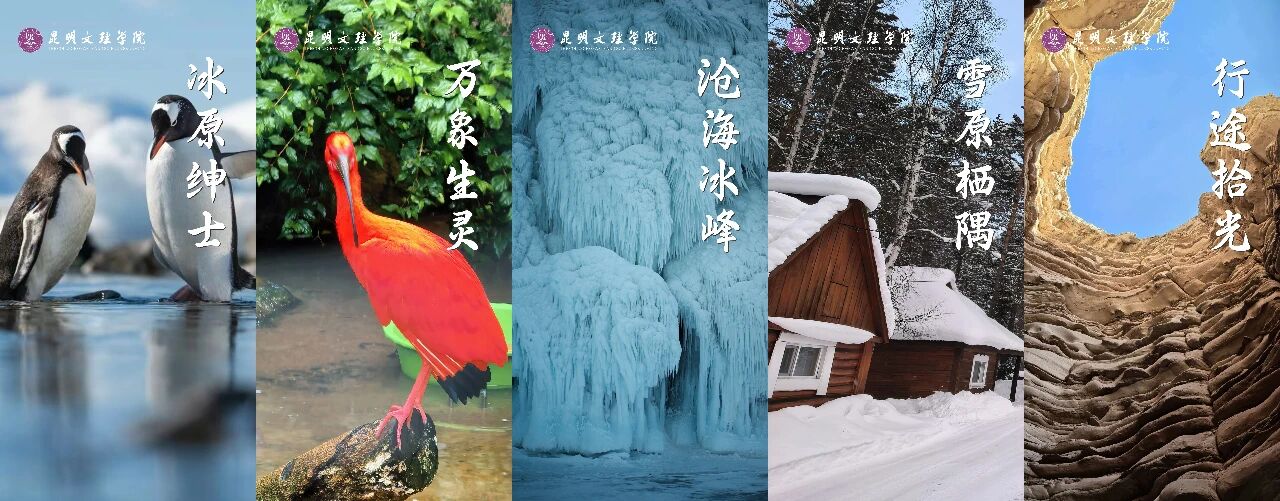 学校南极摄影作品展开展啦