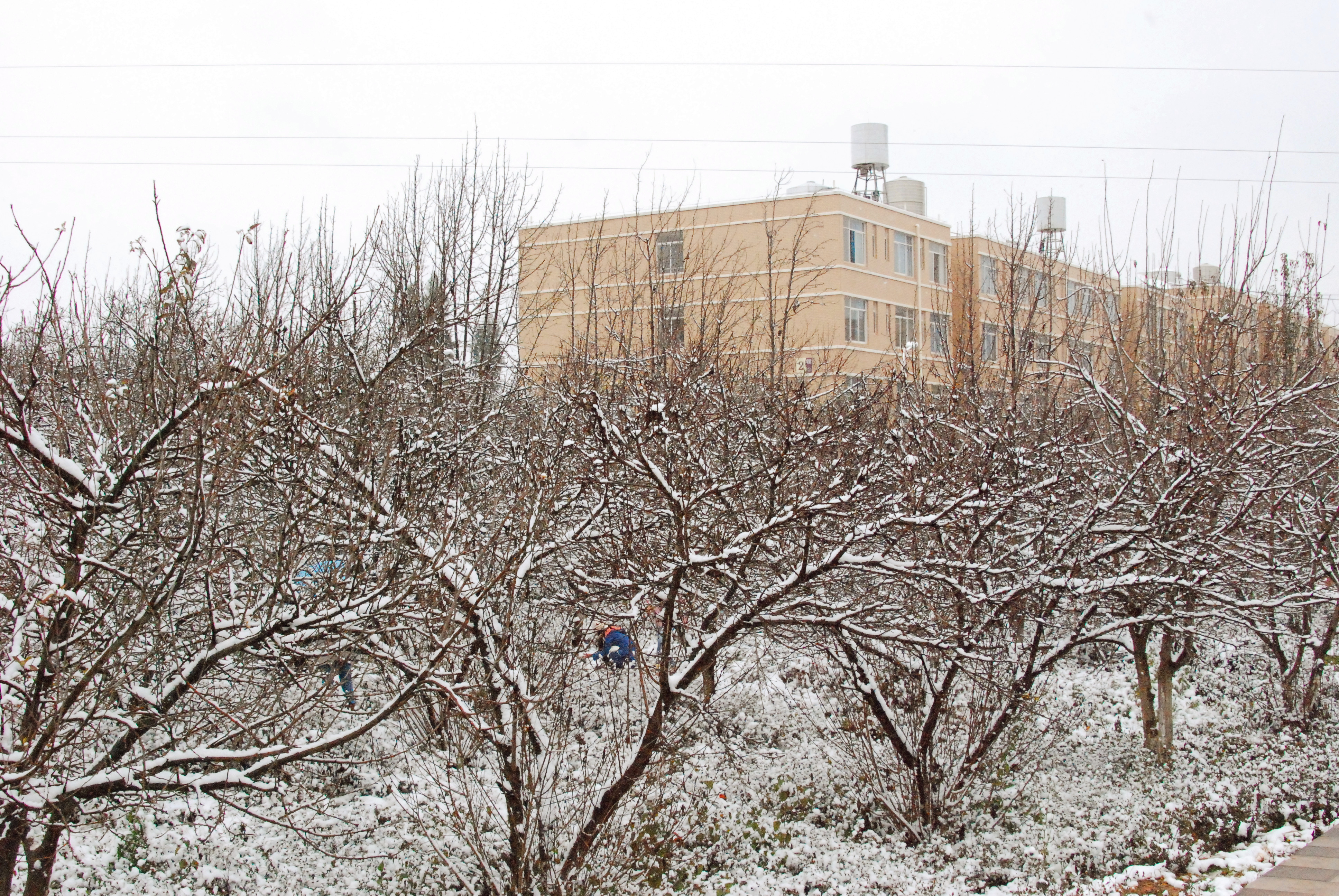 光影校园——雪落文理