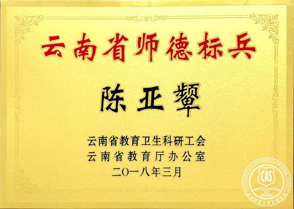 我院陈亚颦教授获“云南省师德标兵”荣誉称号