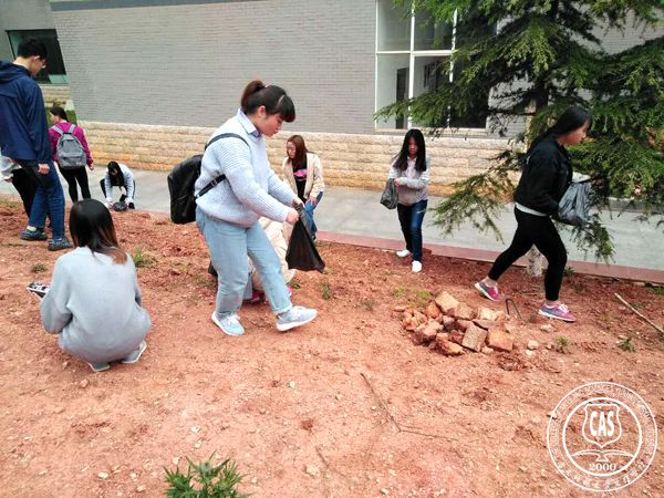 我院志愿者开展“学雷锋 服务校园”活动