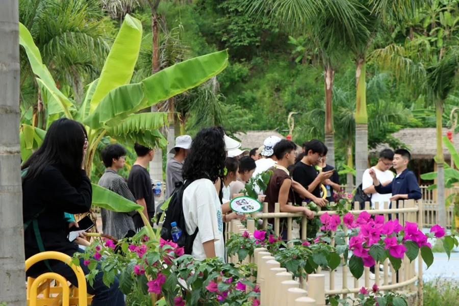 图片 4.jpg