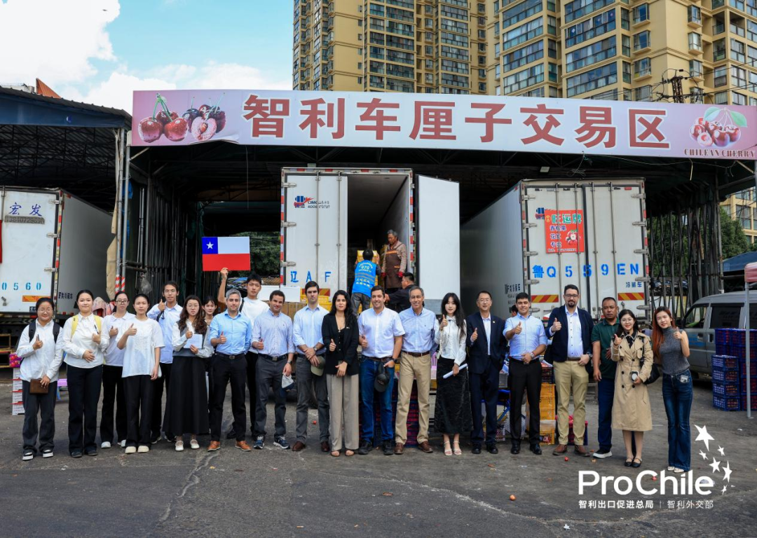 2025“智利-中国(云南)经贸合作与交流会”志愿服务工作4 2025“智利-中国(云南)经贸合作与交流会”志愿服务工作4