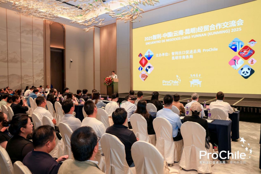 2025“智利-中国(云南)经贸合作与交流会”志愿服务工作7 2025“智利-中国(云南)经贸合作与交流会”志愿服务工作7