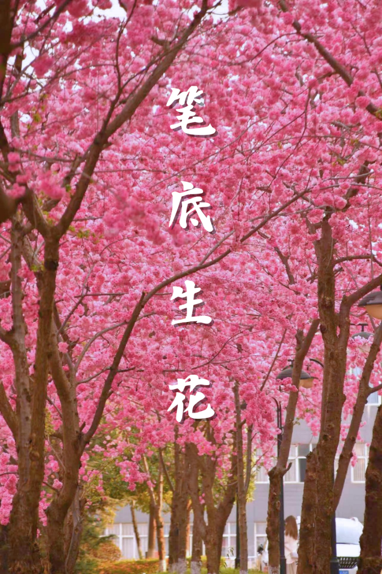 微信图片_2025-12-10_220306_312