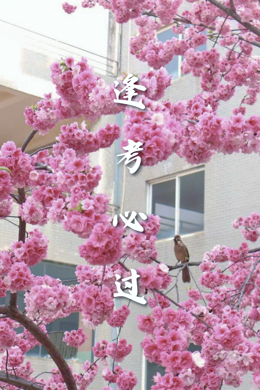 微信图片_2025-12-10_220317_958